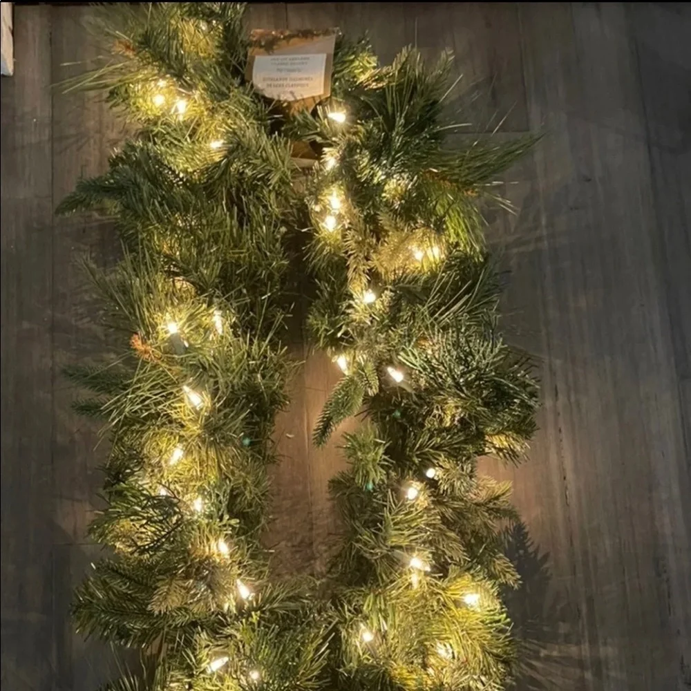Pier one light up garland